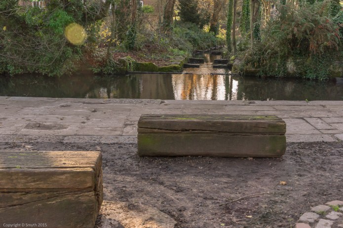 a1_20151202_20151202_untitled_038_6000 x 4000