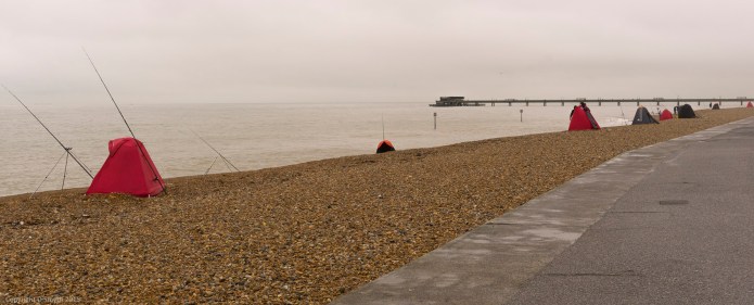 a1_20151213_20151213_untitled_004_6000 x 4000