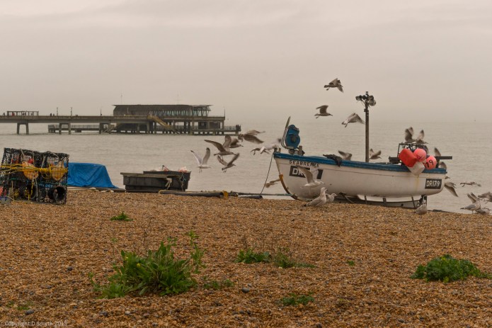 a1_20151213_20151213_untitled_066_6000 x 4000