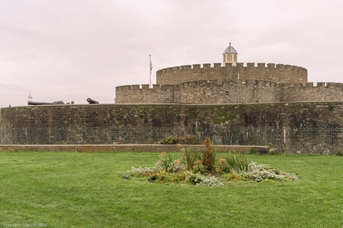 a1_20151213_20151213_untitled_077_6000 x 4000