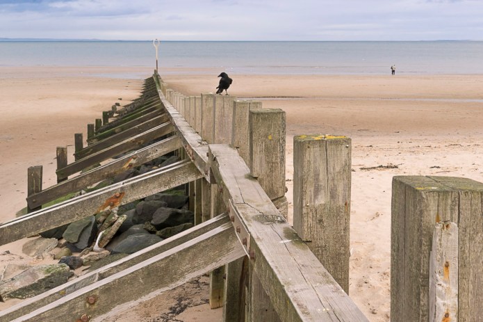 a1_20151218_20151218_untitled_011_6000 x 4000