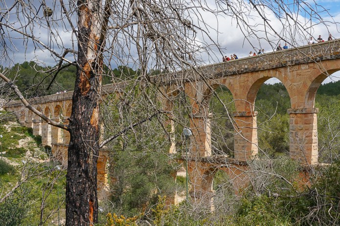 a1_20120208_DSC00643_4912 x 3264-2