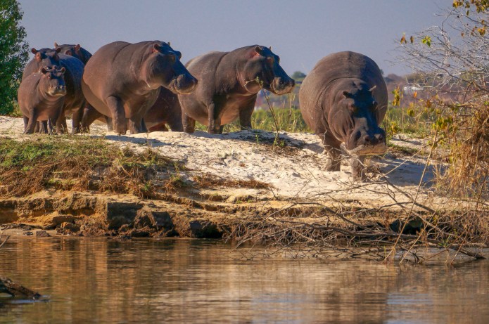 a1_20120615_aDSC05421_4912 x 3264