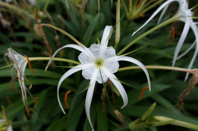 a1_20120825_DSC07400_4912 x 3264