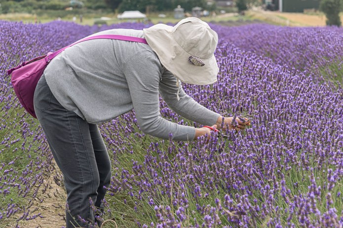 a1_20150808_20150808__DSC9694_6000 x 4000-2