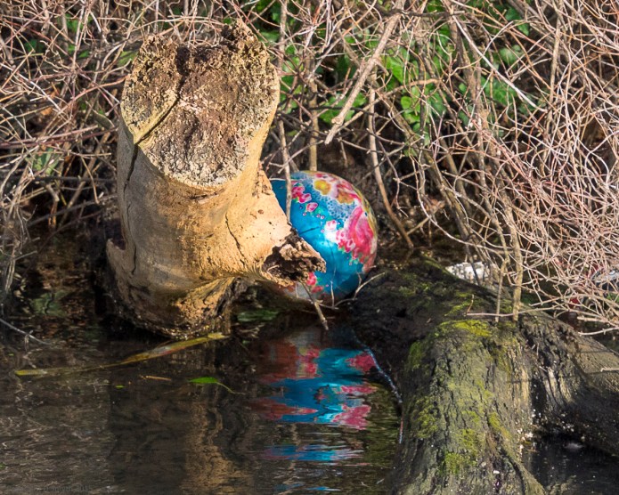 a1_20160110_20160110_St Albans_036_6000 x 4000