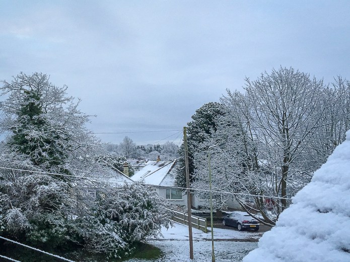 a1_20160117_IMG_0455_3264 x 2448-4