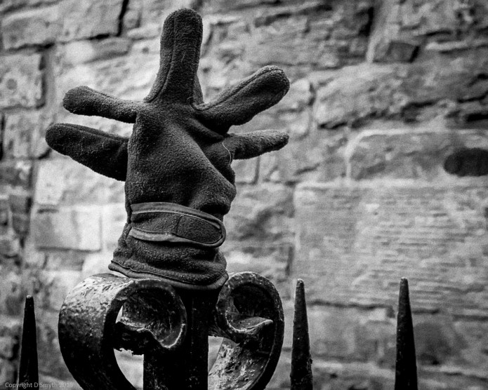 a1_20150125__DSC0068_6000 x 4000-3