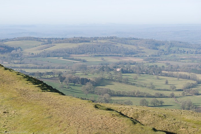 a1_20150208__DSC0205_6000 x 4000-3