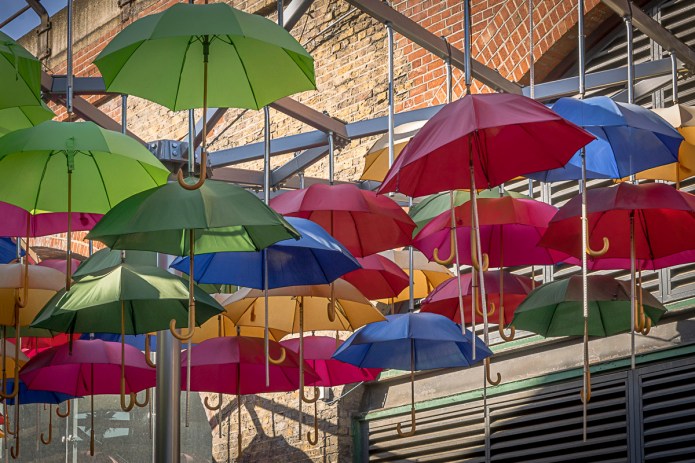 a1_20150926_20150926__DSC1310_6000 x 4000-2