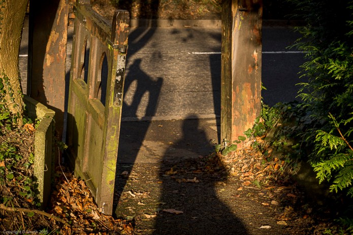 a1_20151209_20151209_untitled_011_6000 x 4000