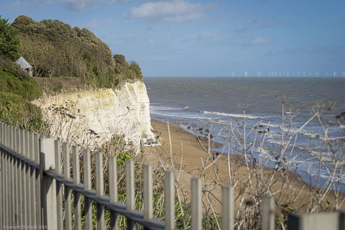 a1_20160207_20160207_untitled_125_6000 x 4000-2