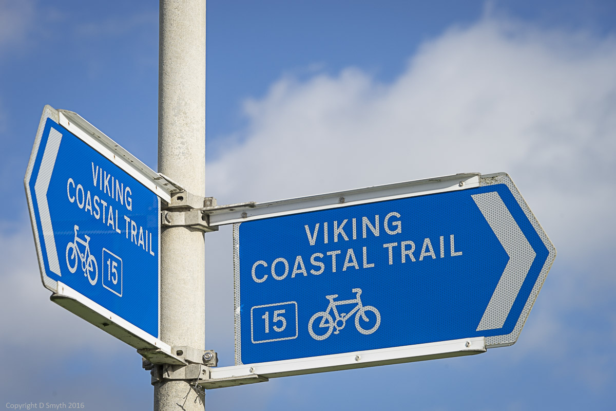 a1_20160207_20160207_untitled_132_6000 x 4000