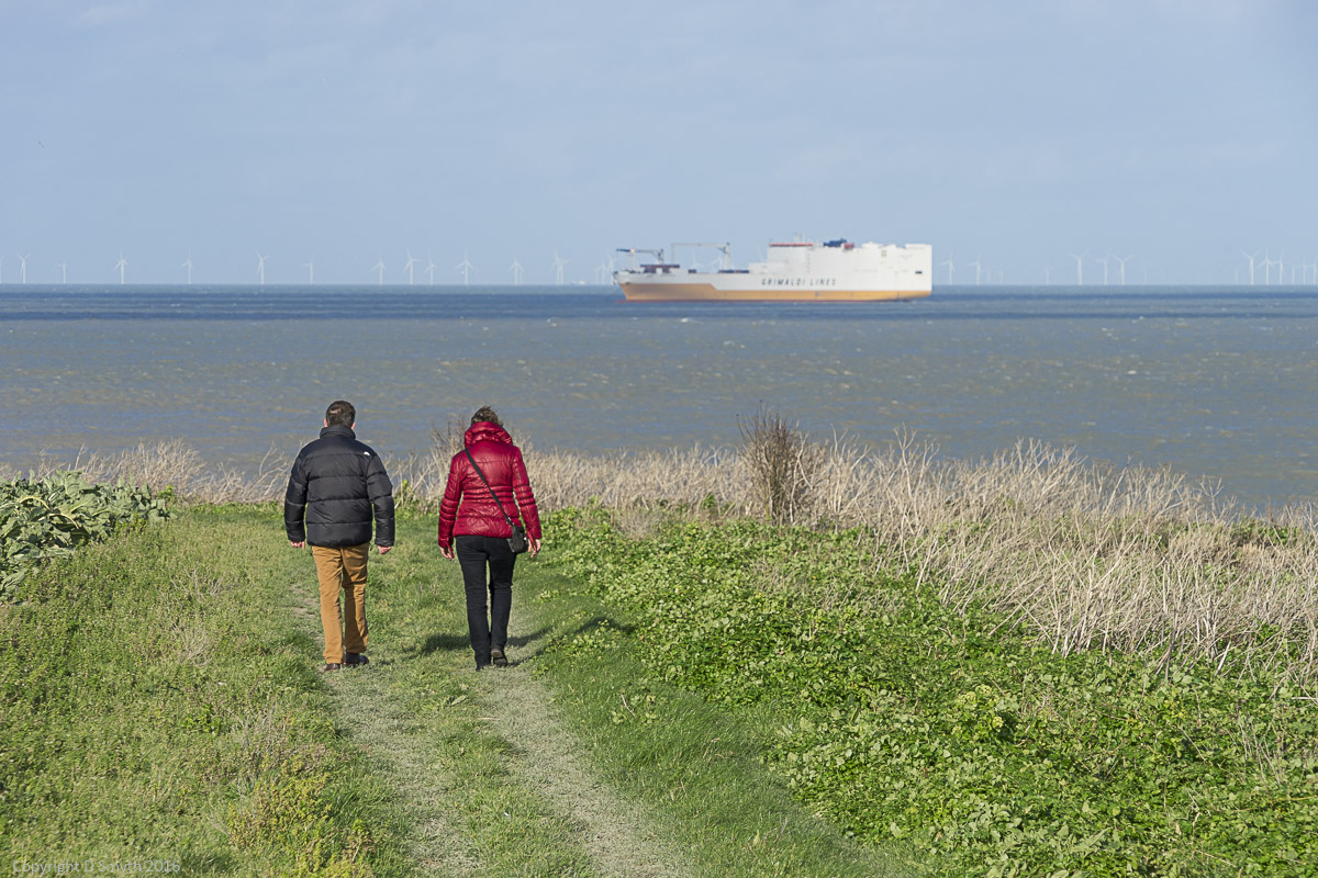 a1_20160207_20160207_untitled_133_6000 x 4000