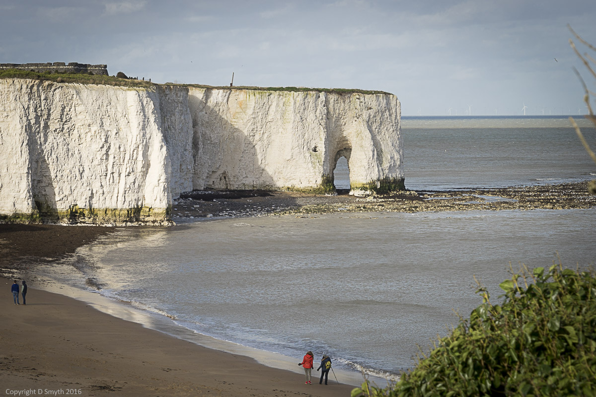 a1_20160207_20160207_untitled_140_6000 x 4000-2