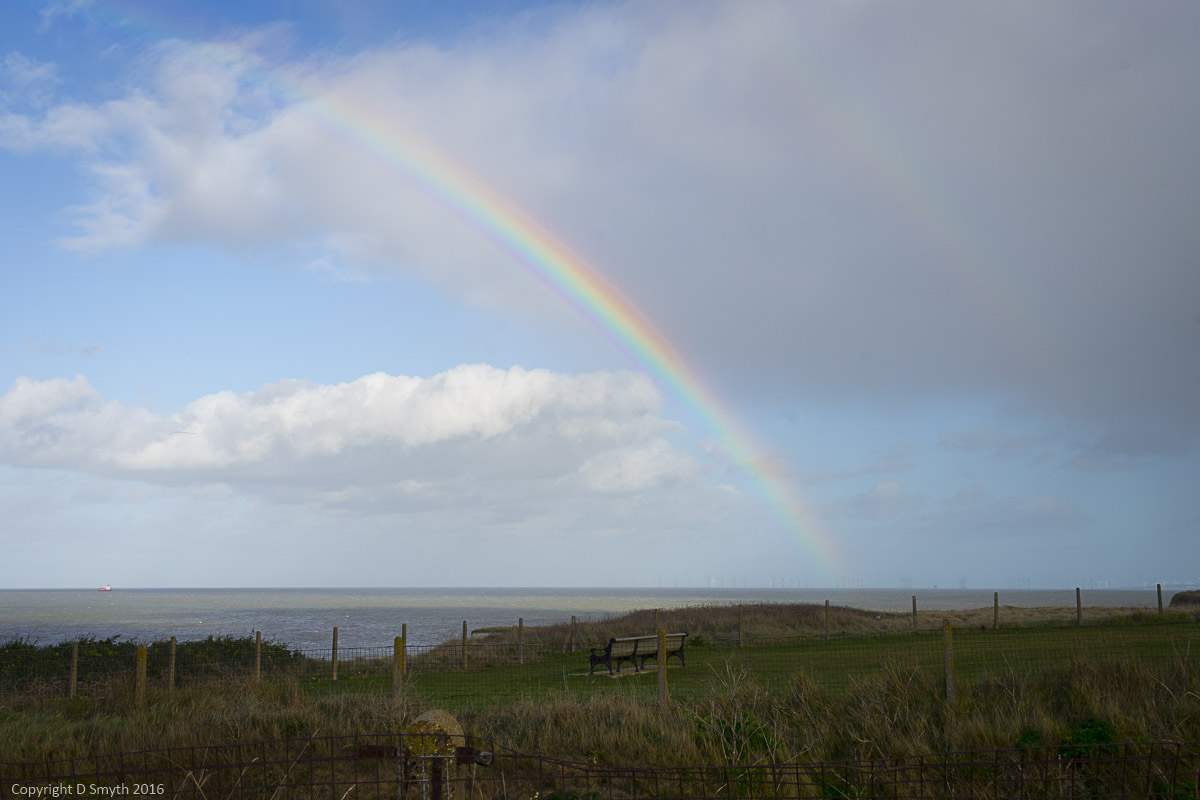 a1_20160207_20160207_untitled_149_6000 x 4000