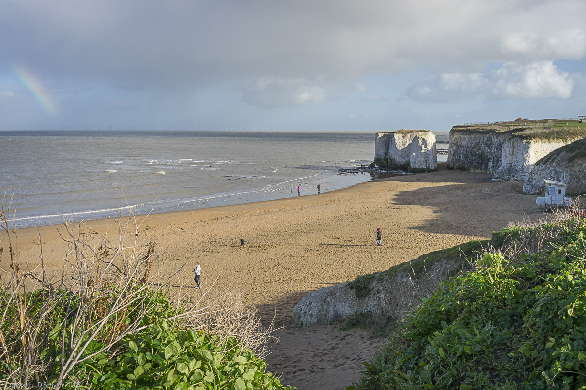 a1_20160207_20160207_untitled_151_6000 x 4000