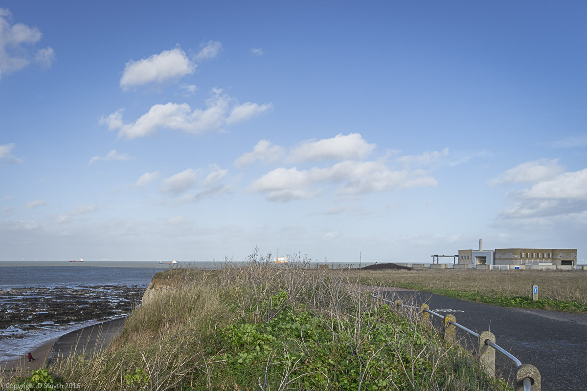 a1_20160207_20160207_untitled_161_6000 x 4000