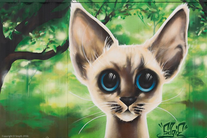 a1_20160219_20160219_Gothenburg_053_6000 x 4000