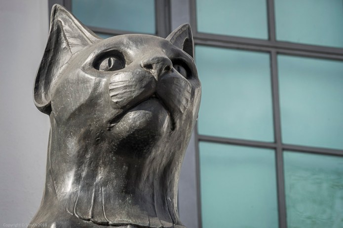 a1_20160223_20160223_London_028_6000 x 4000