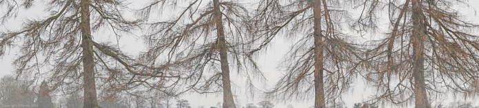 a1_20160227_20160227_StAlbans_00809836_8192 x 1856