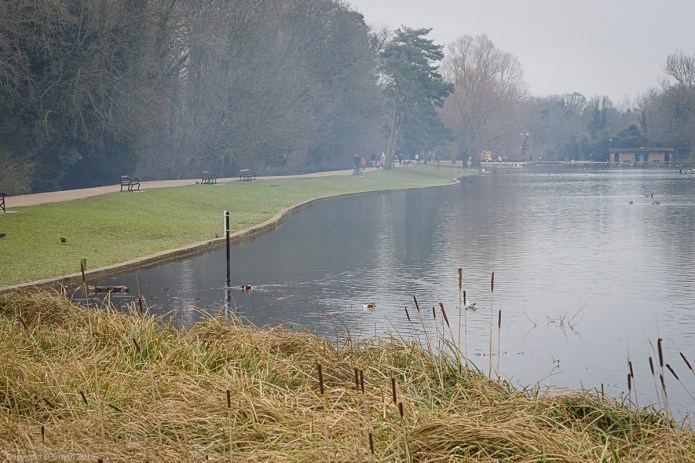 a1_20160227_20160227_StAlbans_02609854_6000 x 4000