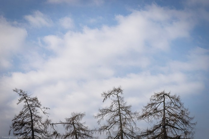 a1_20160227_20160227_StAlbans_06609894_6000 x 4000