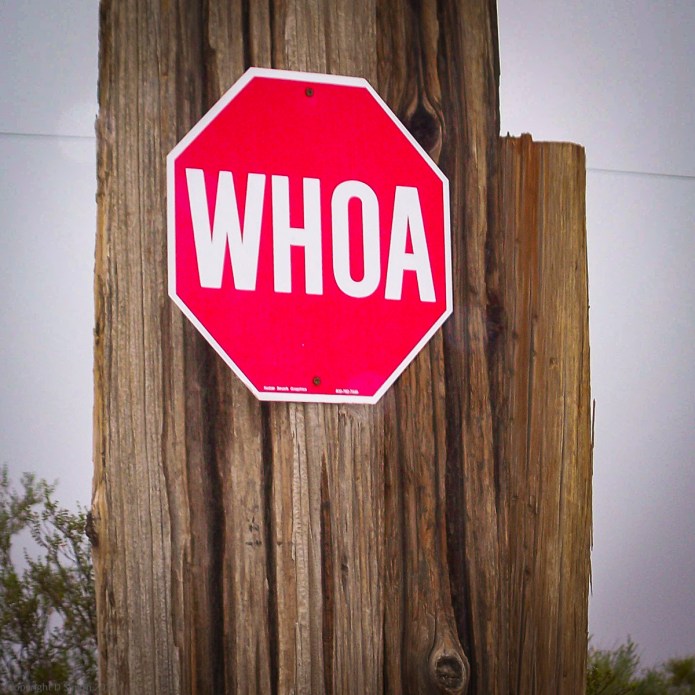 a1_20090822_100_2155_2832 x 2128