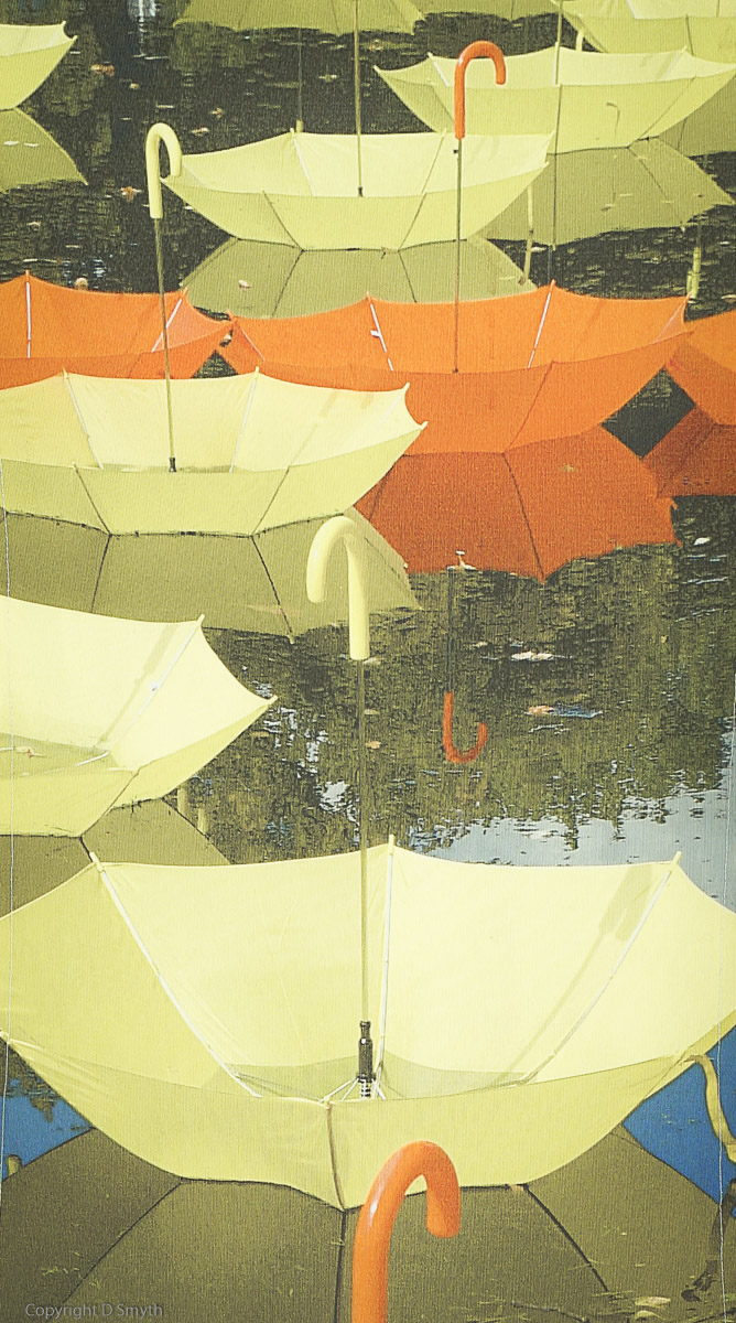 a1_20120801_DSC06497_3264 x 4912-4