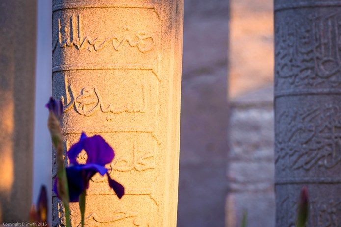 a1_20150424_20150424__DSC5720_6000 x 4000-2.jpg