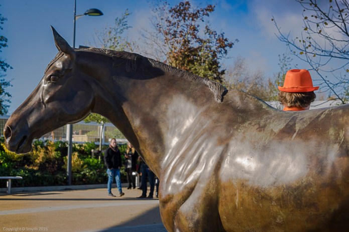 a1_20151113_20151113_untitled_006_6000 x 4000