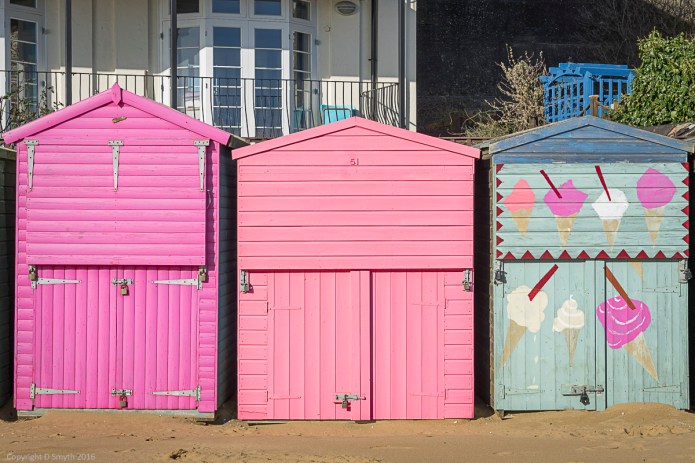 a1_20160207_20160207_untitled_080_6000 x 4000