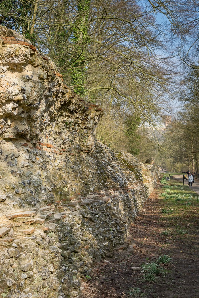 a1_20160311_20160311_StAlbans_00500835_4000 x 6000