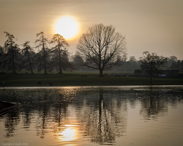 a1_20160311_20160311_StAlbans_08300913_6000 x 4000