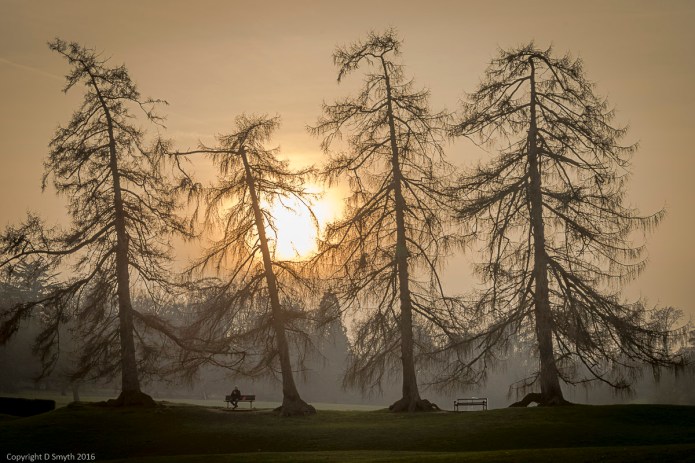 a1_20160311_20160311_StAlbans_09100921_6000 x 4000