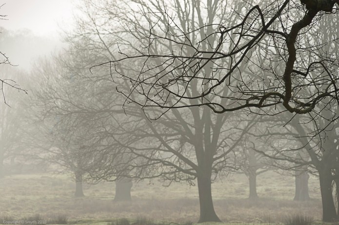 a1_20160313_20160313_London_03600964_6000 x 4000