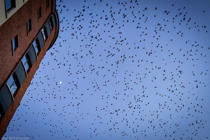 a1_20160316_20160316_Belfast_03501101_6000 x 4000-3