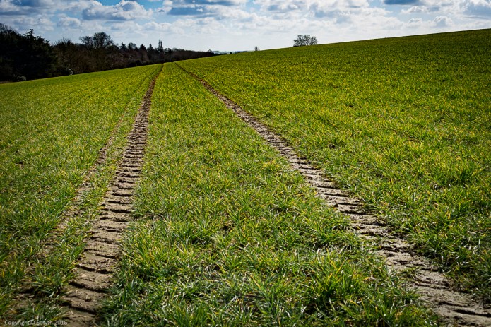 a1_20160325_20160325_StAlbans_07001515_6000 x 4000