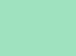 a1_20160326_9fe2bf sea green_150 x 200