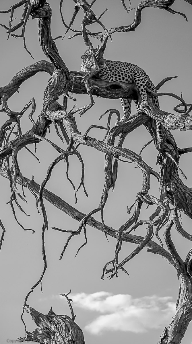 a1_20120609_aDSC04725_3264 x 4912-5