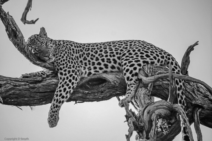 a1_20120609_aDSC04728_4912 x 3264-3