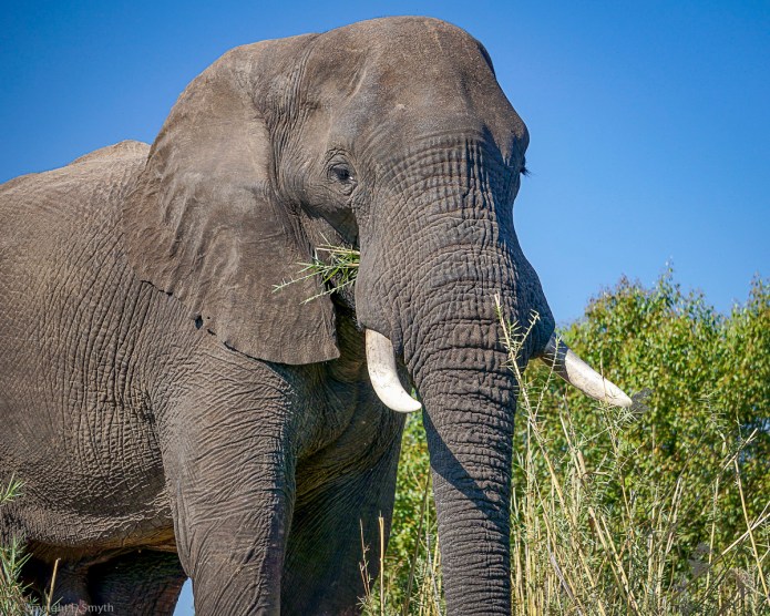 a1_20120615_aDSC05452_4912 x 3264