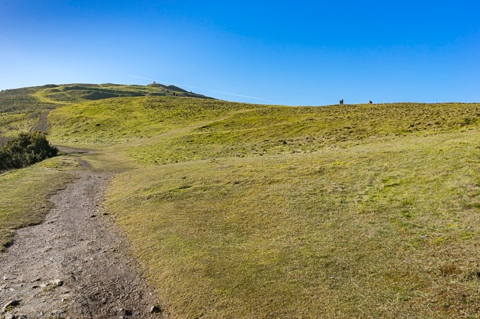 a1_20150208__DSC0163_6000 x 4000