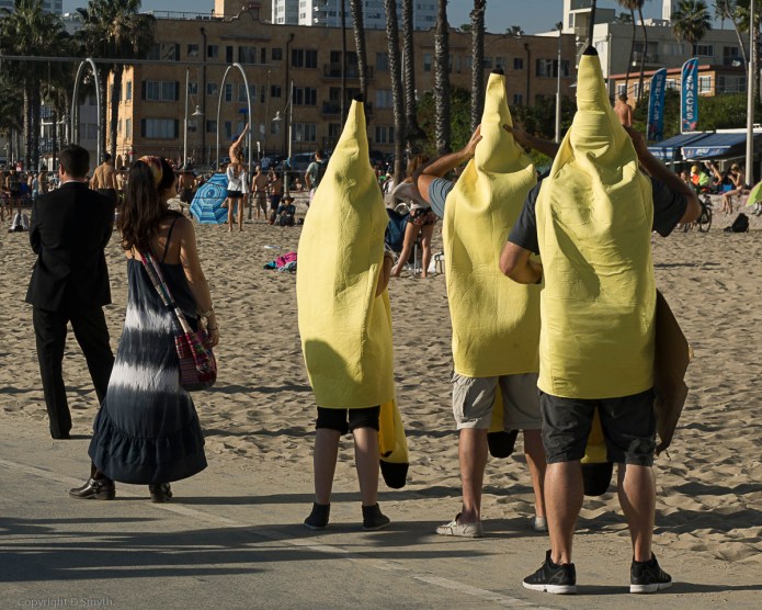 a1_20150216__DSC0835_6000 x 4000-2