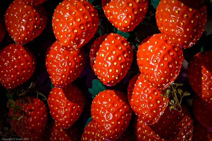 a1_20150514_20150514__DSC7442_6000 x 4000