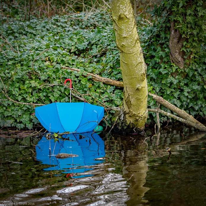 a1_20160227_20160227_StAlbans_05509883_6000 x 4000