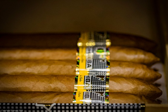 a1_20160322_20160322_London_13301395_6000 x 4000