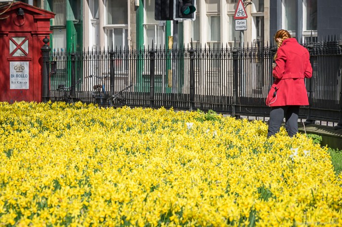 a1_20160409_20160409_Edinburgh_03401761_6000 x 4000-2