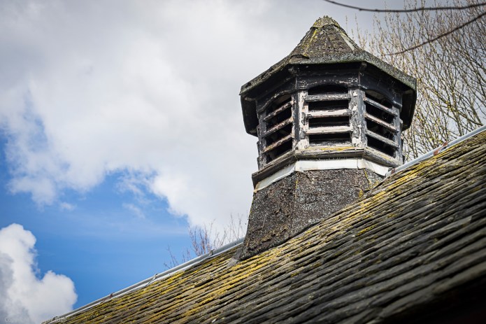 a1_20160409_20160409_Edinburgh_08401811_6000 x 4000