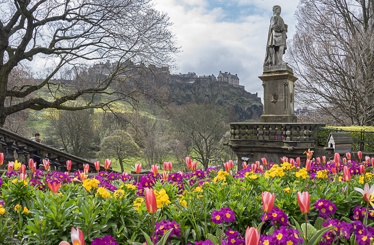 Spring Morning – Travel with Intent